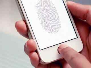 苹果将Touch ID整合至屏幕 韩国人表示质疑