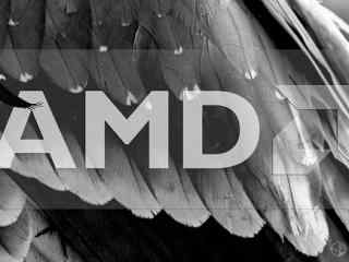 AMD Zen新品CES2017发布 价格性能感人