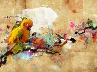 鹦鹉插画桌面壁纸 高清鹦鹉摄影壁纸 鹦鹉图片