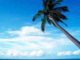 马尔代夫旅游 唯美马尔代夫海滩风光 马尔代夫图片