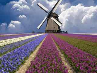 荷兰唯美自然景色 荷兰乡村风光桌面壁纸下载