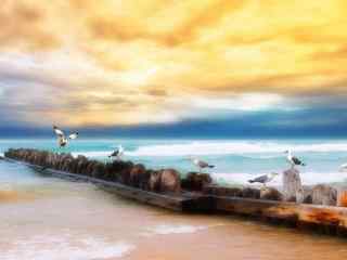 海鸥图片_飞翔的海鸥桌面壁纸_蓝天下海鸥图片