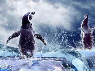 企鹅图片_企鹅家族桌面壁纸_冰川企鹅行走图片