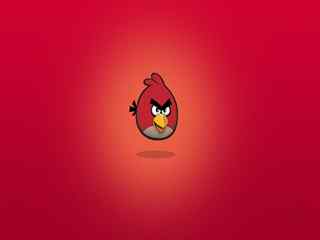 愤怒的小鸟_愤怒的小鸟手机壁纸_愤怒的小鸟高清壁纸图片