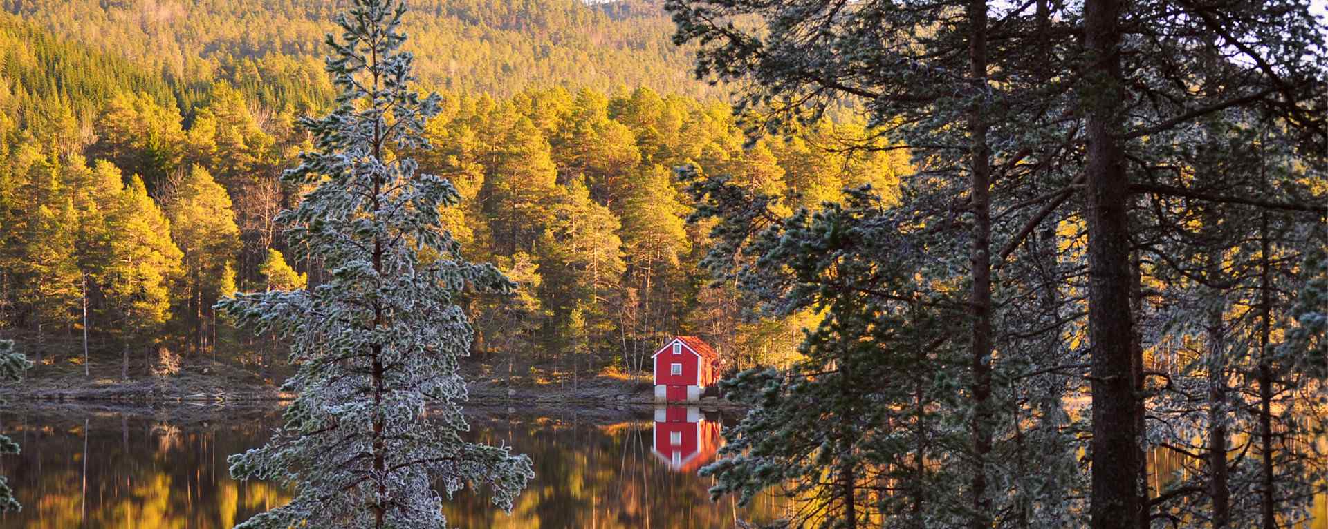 北欧国家挪威_挪威峡湾风景_挪威极光_挪威的森林桌面壁纸