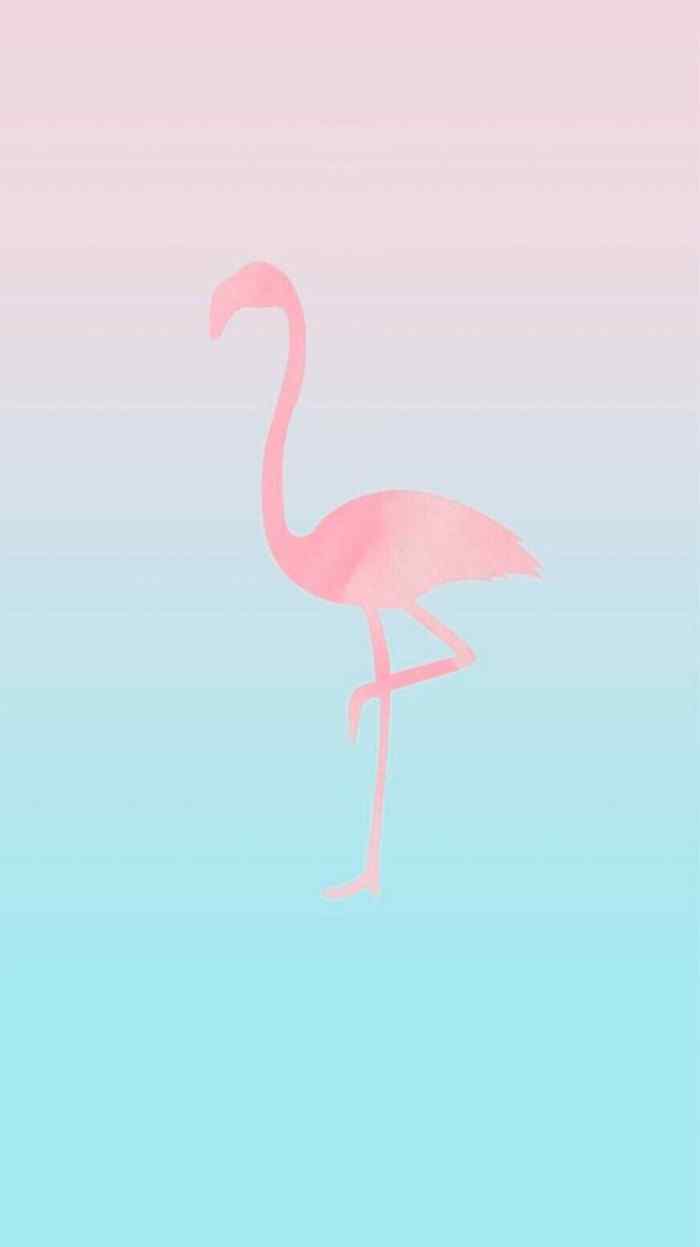 火烈鸟粉蓝色创意图片手机壁纸