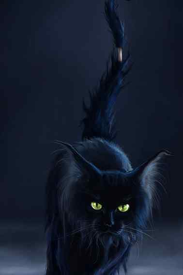 黑猫诡异图片手机壁纸