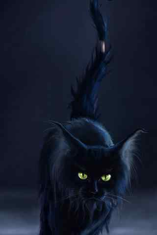 黑猫诡异图片手机