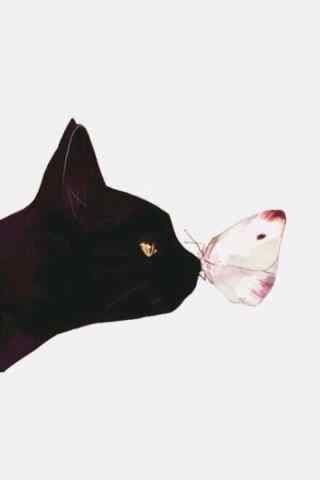 黑猫吻蝴蝶唯美图片手机壁纸