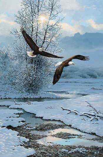 翱翔在冬季雪山间的老鹰图片手机壁纸