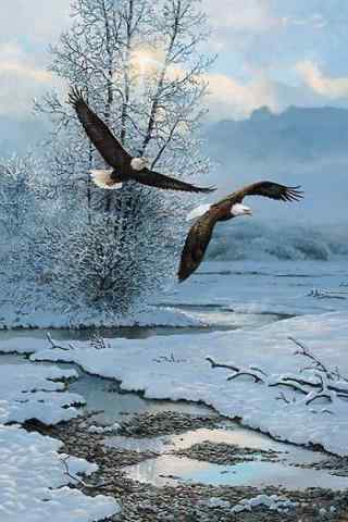 翱翔在冬季雪山间的老鹰图片手机壁纸
