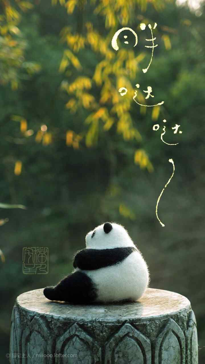 唯美熊猫毛毡玩偶手机壁纸