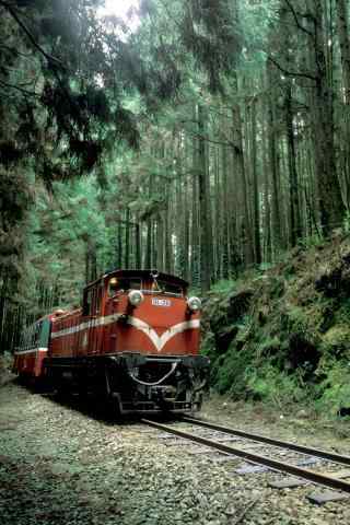 红色火车穿越树林风景手机壁纸