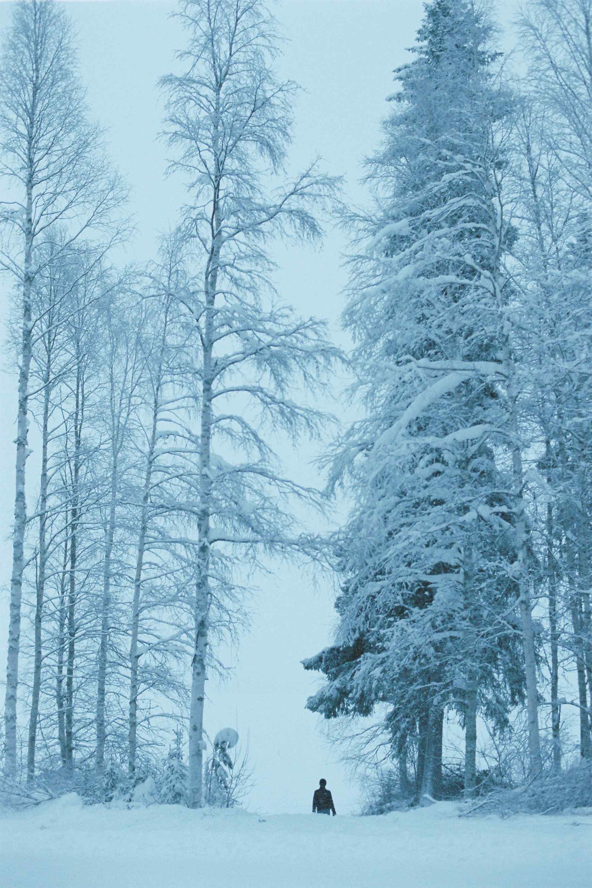 一个人看风景北欧浪漫山林雪景手机壁纸
