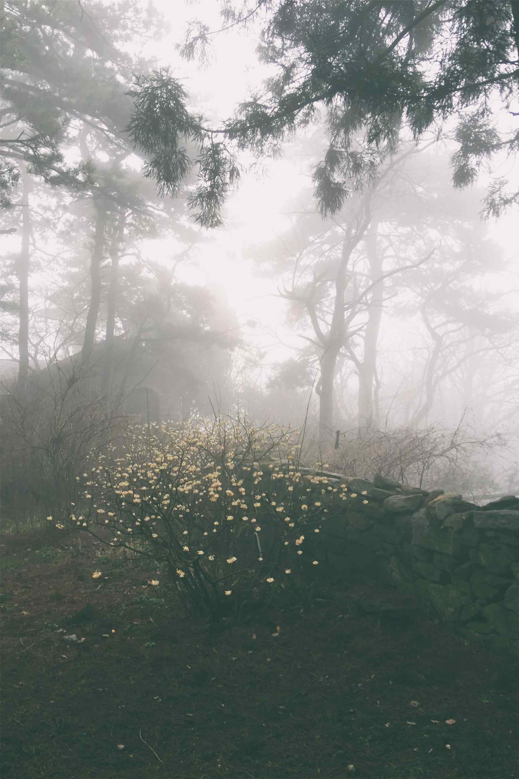 庐山雾色朦胧的山间景色手机壁纸（5张）