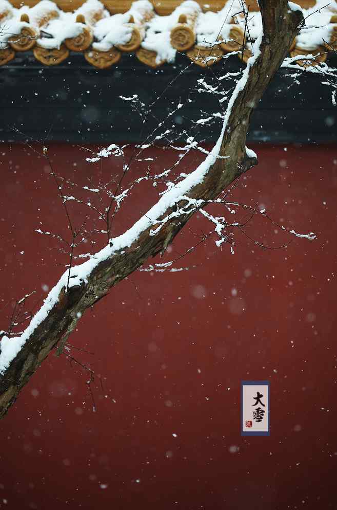 二十四节气之大雪北京故宫风景手机壁纸（6张）
