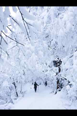 冬日峨眉山雪景手机壁纸