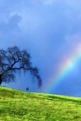雨后初晴美丽彩虹手机壁纸