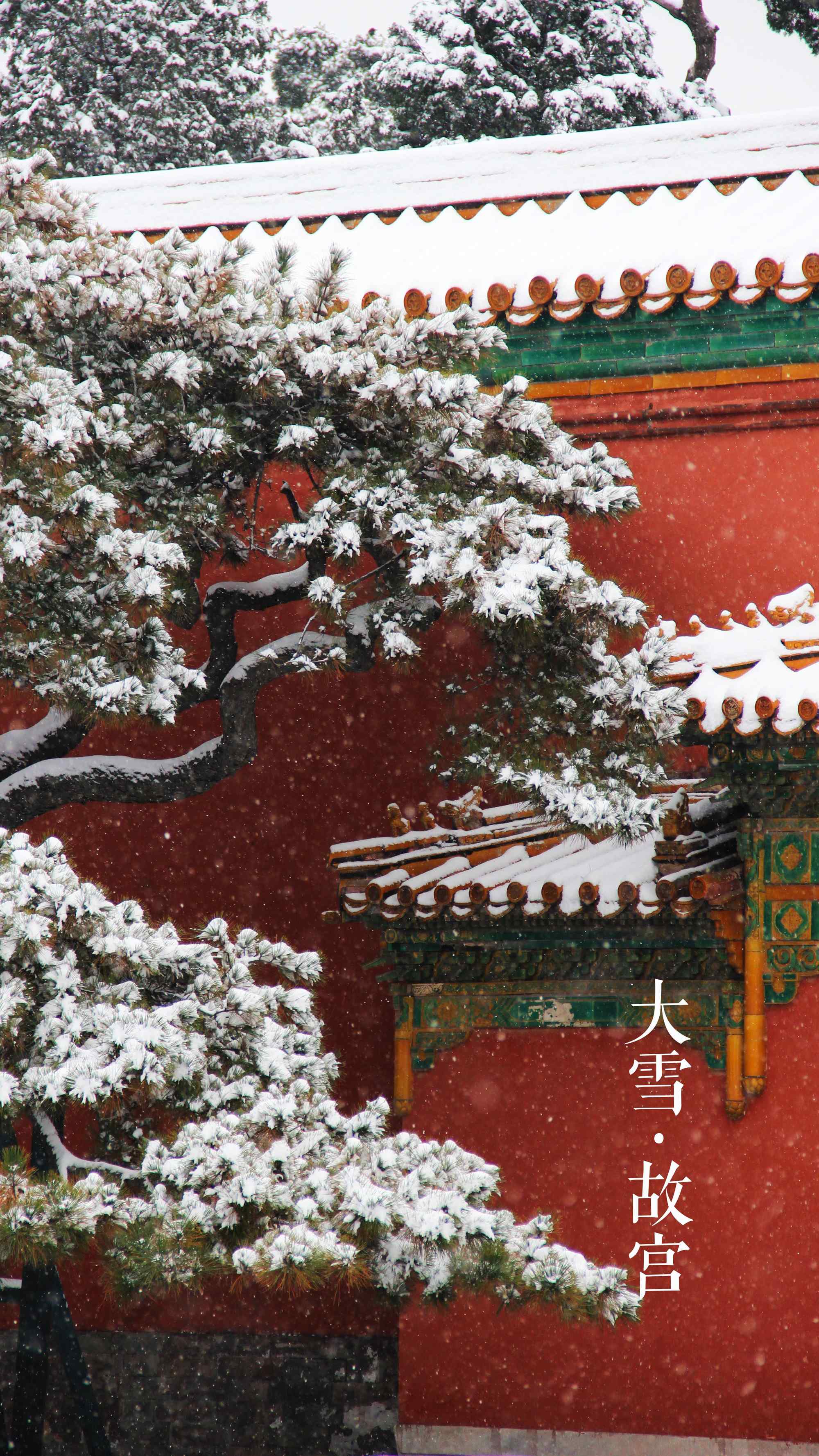 冬天风景之落雪的故宫手机壁纸