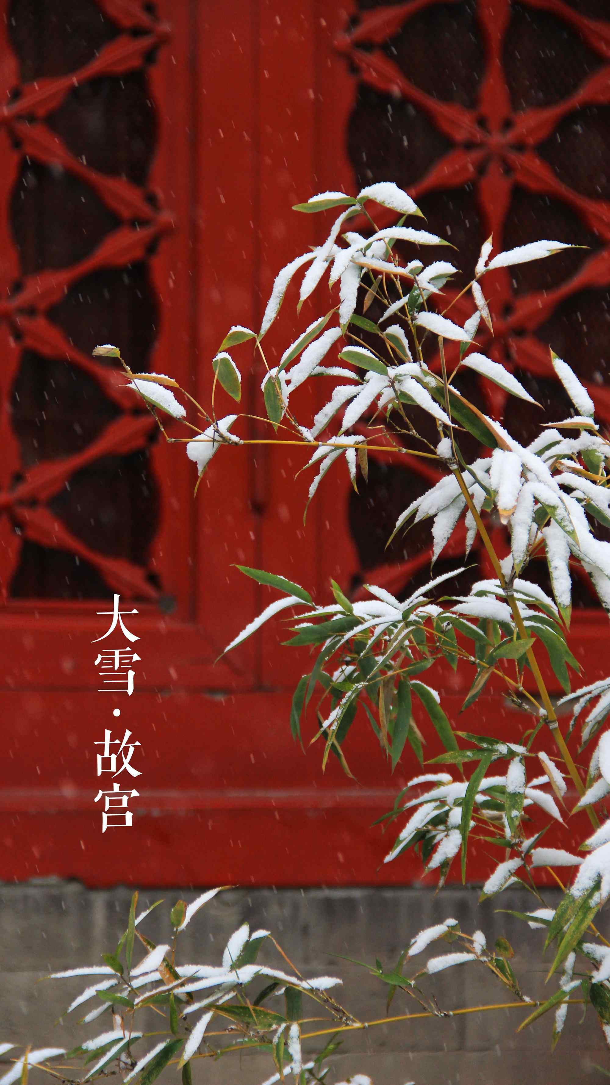 小清新文艺雪景之北京故宫