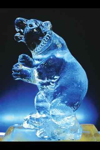 哈尔滨冰雕展之可爱的北极熊冰雕手机壁纸