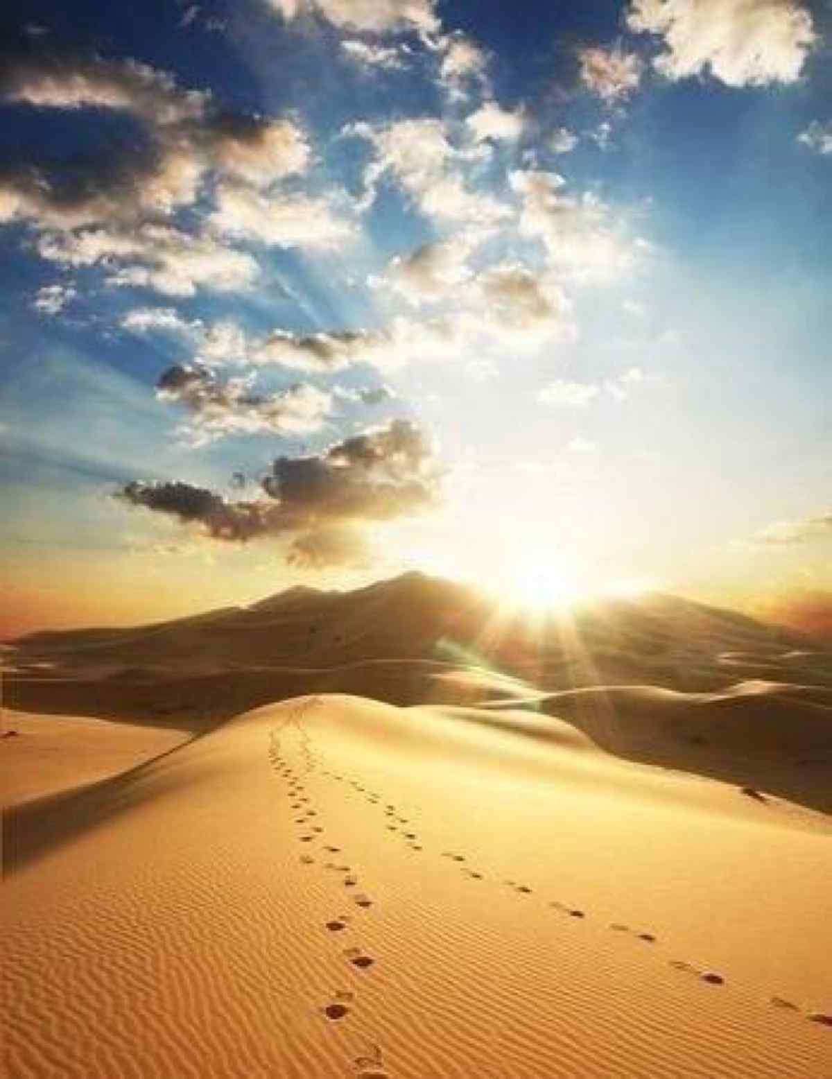 浩瀚晴空下的沙漠手机风景壁纸