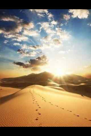 浩瀚晴空下的沙漠手机风景壁纸