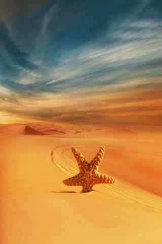 创意沙漠海星手机风景壁纸
