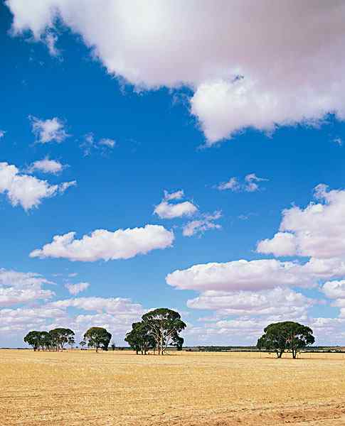 农场的蓝天白云风景图片手机壁纸