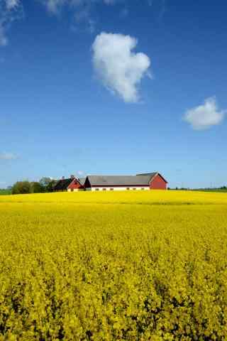 唯美的农场风景图片手机壁纸