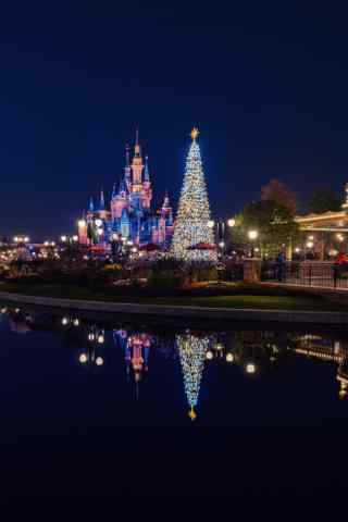 上海迪士尼乐园圣诞树远景手机壁纸