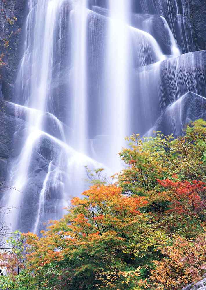 秋季瀑布图片手机壁纸