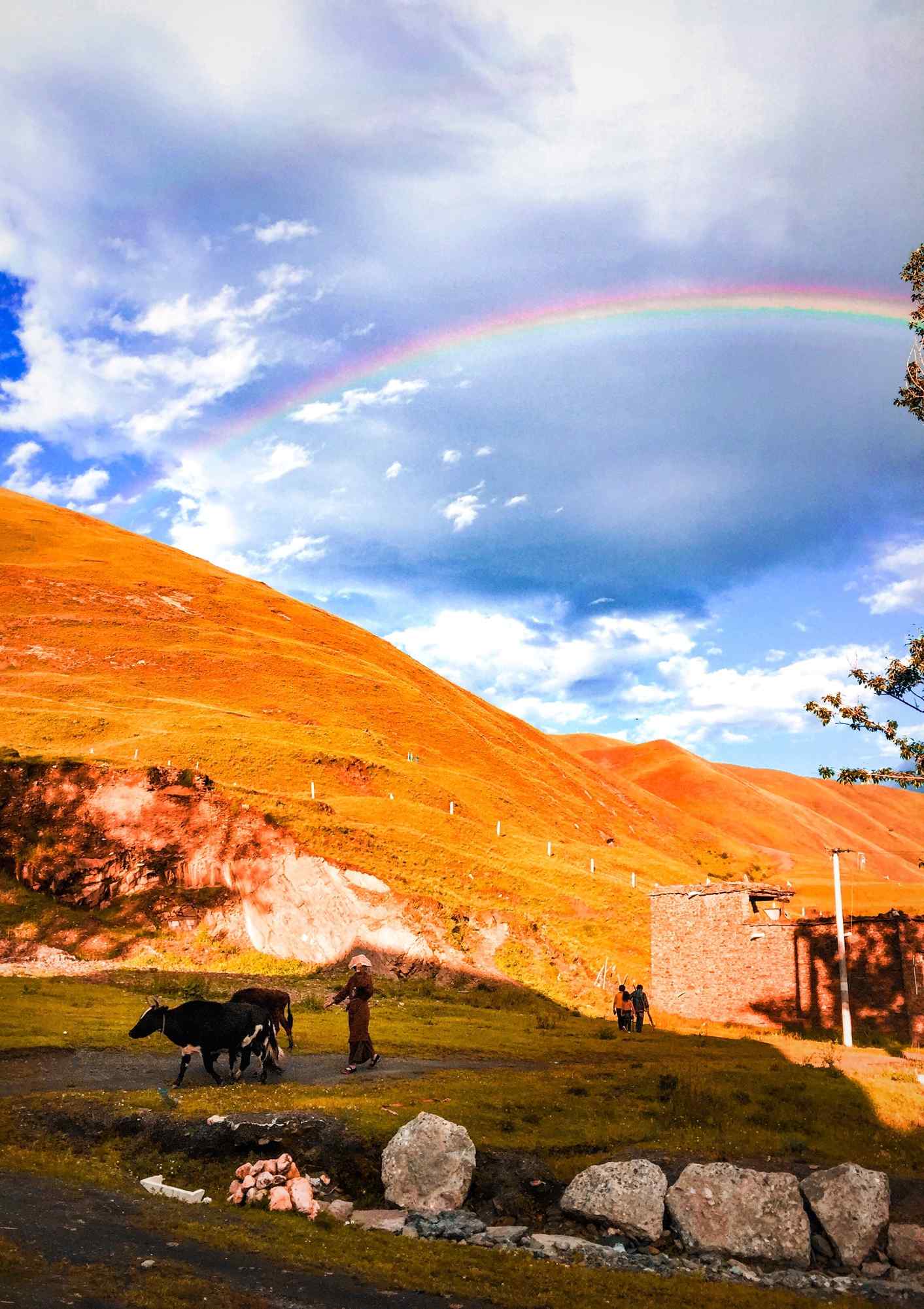 草原上唯美彩虹风景图片手机壁纸