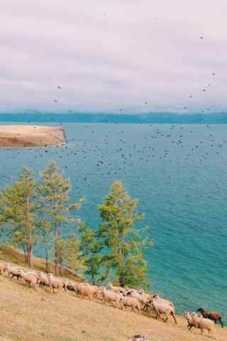 贝加尔湖小清新风景图片手机壁纸