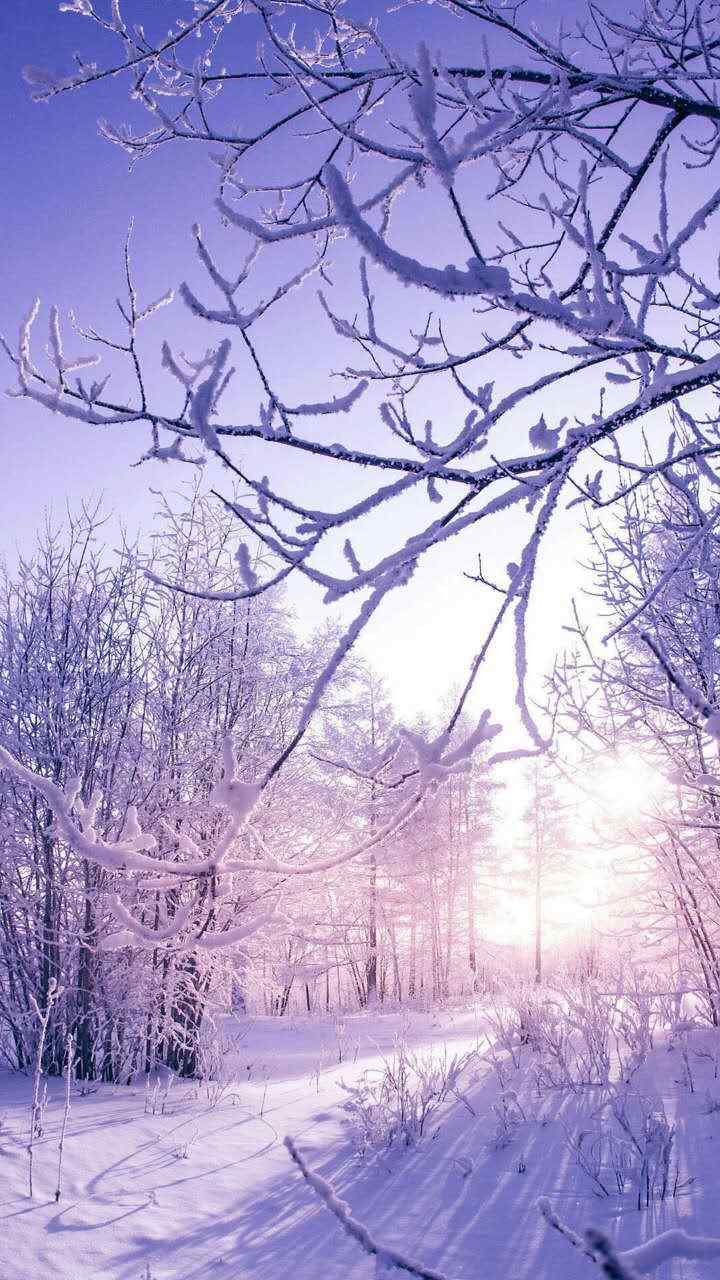 宁夏大西北冬日雪景图片手机壁纸