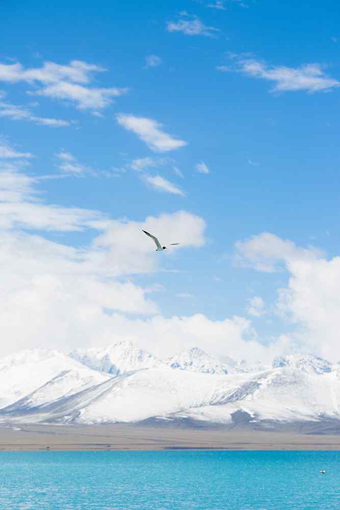 西藏纳木错雪山湖水风景图片手机壁纸