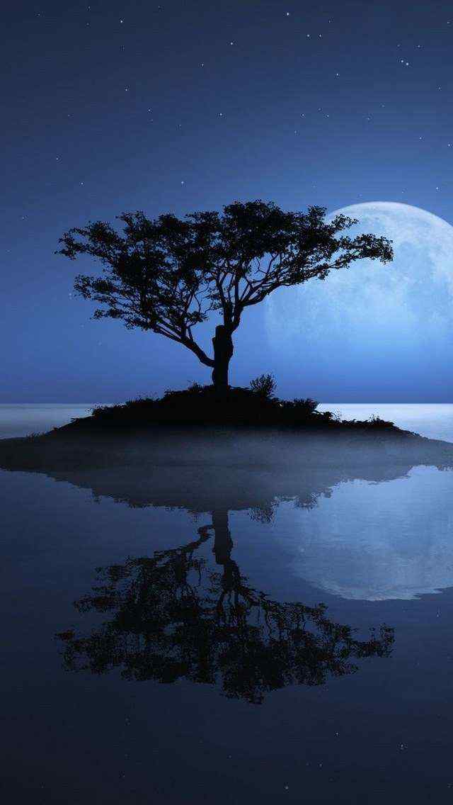 大树下月光倒影图片