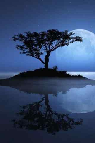 大树下月光倒影图