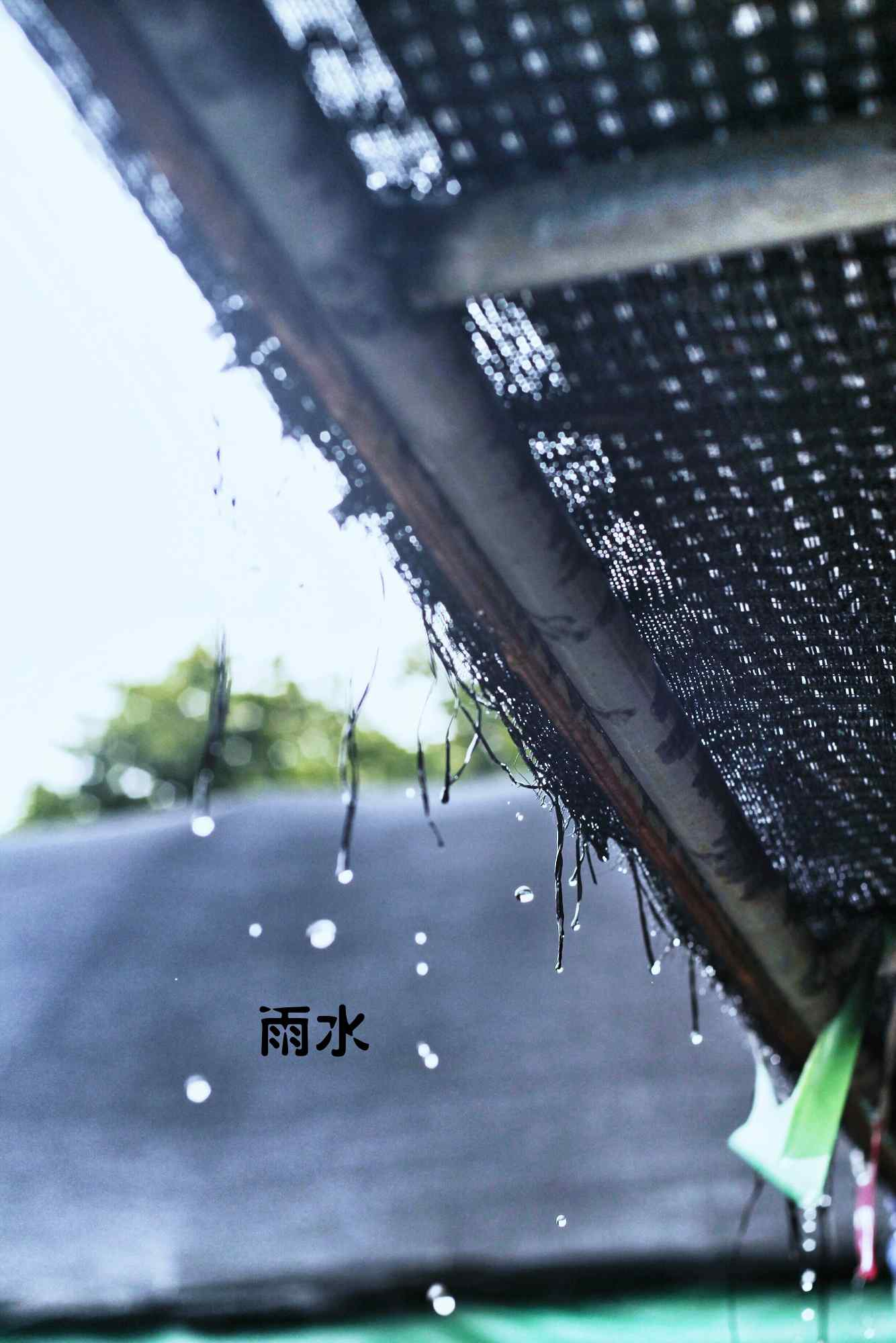 雨水节气之茅草屋檐的雨滴图片手机壁纸