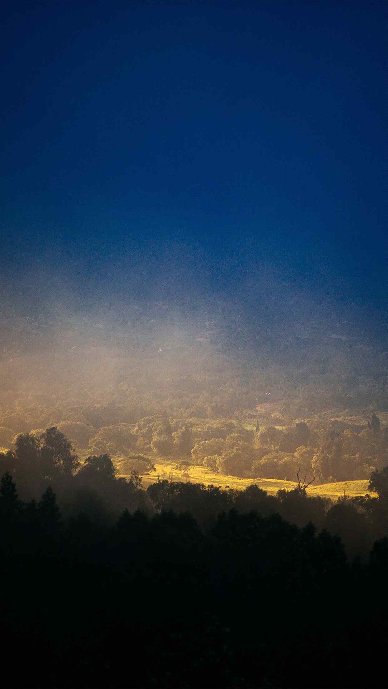 阳光透过云层照射树林手机壁纸
