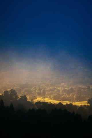 阳光透过云层照射树林手机壁纸