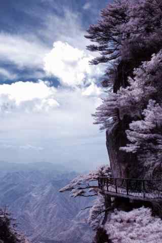 山峰上开满了桃花树手机壁纸
