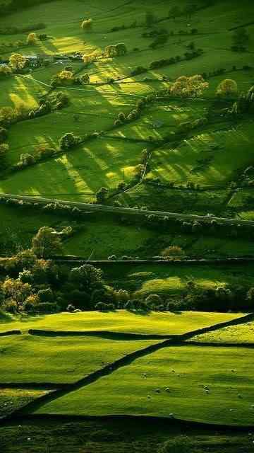 绿色田野风景高清手机壁纸