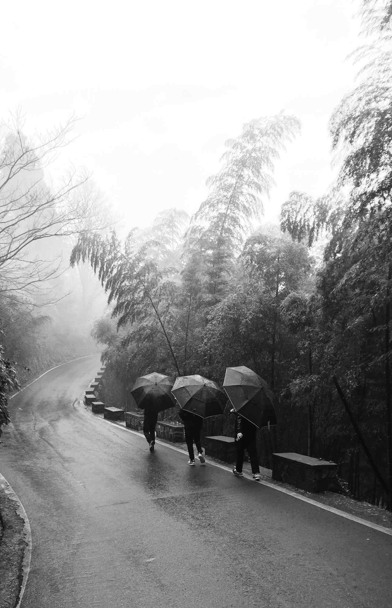 雨中莫干山林中行走人手机壁纸