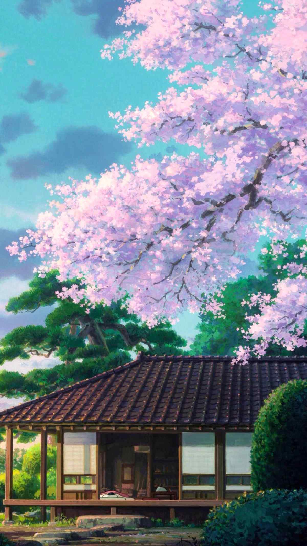 动漫中唯美的樱花场景手机壁纸