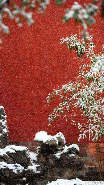 北京故宫红墙之内的雪景手机壁纸