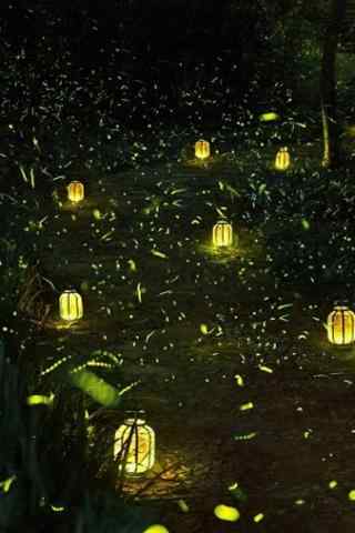夏日森林中的萤火虫之路手机壁纸