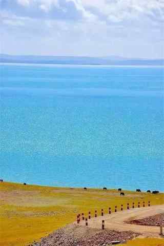 青海湖唯美风景手机壁纸