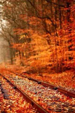 美丽的深秋铁路风景手机锁屏