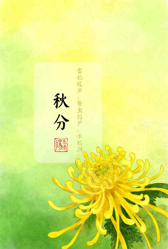秋分节气手绘菊花手机壁纸